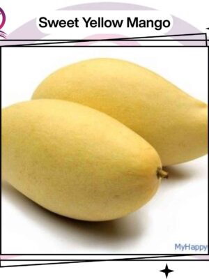 Sweet Yellow Mango