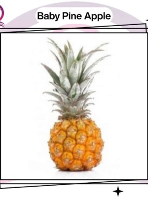 103 Baby Pineapple