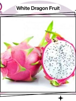 White Dragon Fruit