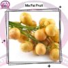 Ma Fai Fruit