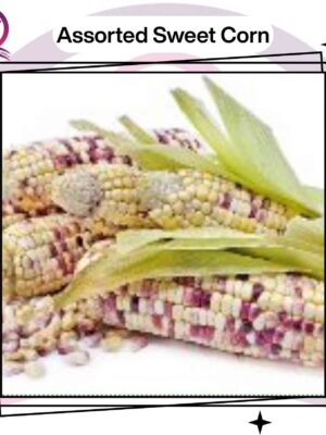 31 Assorted Sweet Corn