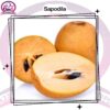 Sapodilla