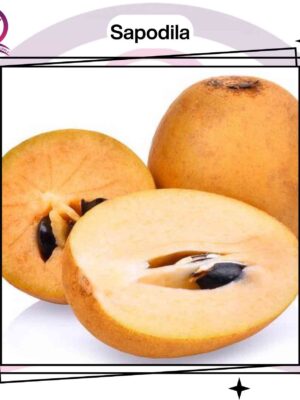 Sapodilla