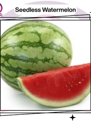 Seedless Watermelon