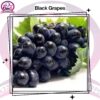 Black Grapes
