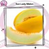 Sun Lady Melon