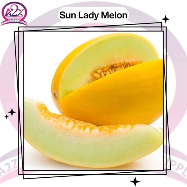 Sun Lady Melon