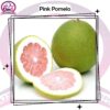 Pink Pomelo