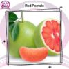 Red Pomelo