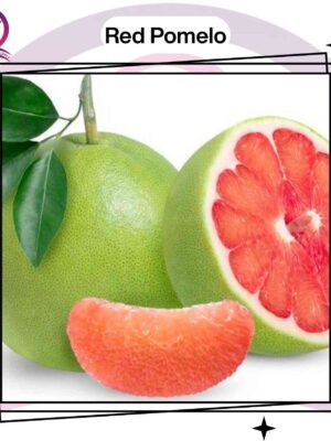 Red Pomelo