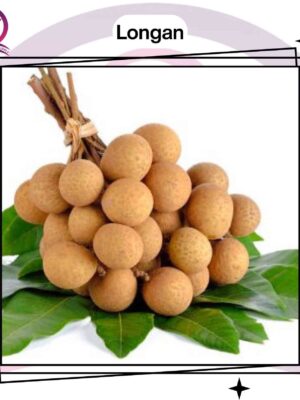 Longan
