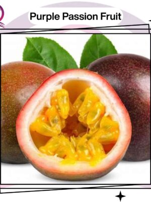 Purple Passion Fruit