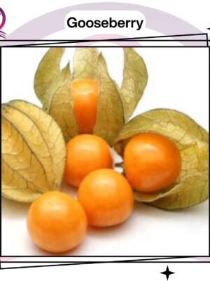 Gooseberry