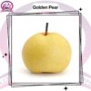 Golden Pear
