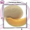 Cantaloupe Melon