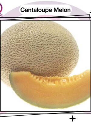 Cantaloupe Melon