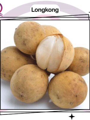 Longkong