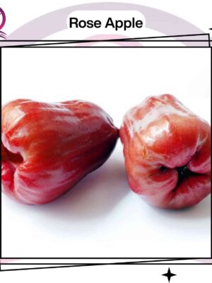 Rose Apple