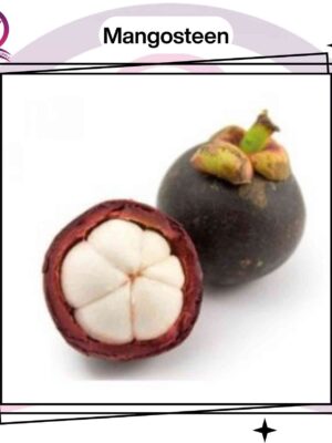Mangosteen