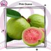 Pink Guava
