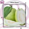 White Guava