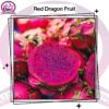 Red Dragon Fruit