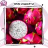 White Dragon Fruit