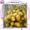 Ma Fai Fruit