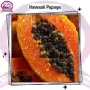 Hawaii Papaya