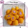 Plum Mango