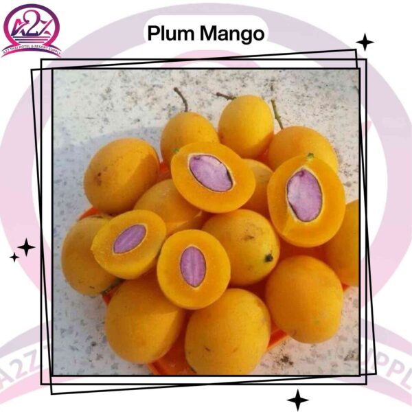 Plum Mango
