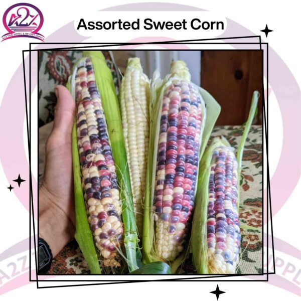 Assorted Sweet Corn
