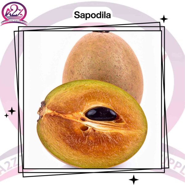 Sapodilla