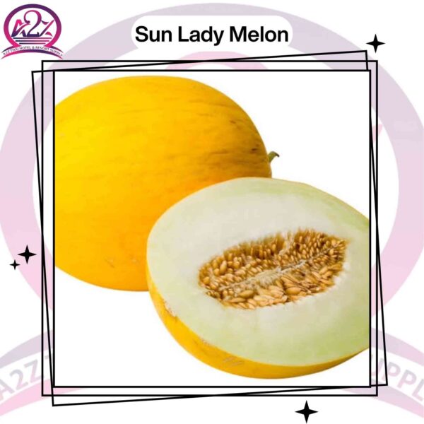 Sun Lady Melon