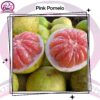 Pink Pomelo