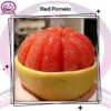 Red Pomelo