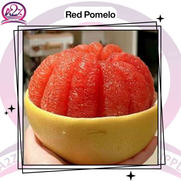 Red Pomelo