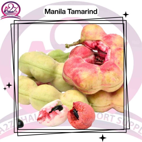 Manila Tamarind