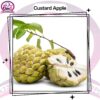 Custard Apple