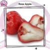 Rose Apple