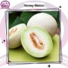 Honey Melon